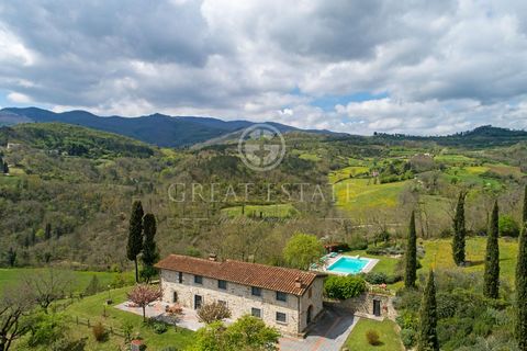 This beautiful property consists of a main house of 290 sqm, divided in 2 floors, and an apartment of 42 sqm, also located on the ground floor of the main body. Starting from the house, we find a large living room with fireplace and French window tha...