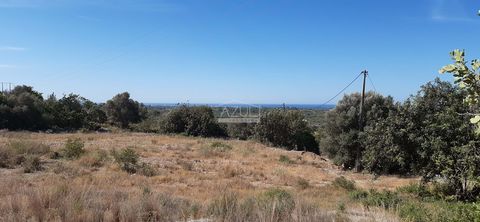 Located in Loulé. This is a unique opportunity, more than 3 hectares of area for agricultural or for extractive activities purpose. Good access and an easy connection to the motorway (A22). It has a very pleasant sea view. If you pretend to start an ...