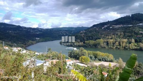 Terrain à vendre avec une vue magnifique sur le fleuve Douro. Il bénéficie d’une excellente exposition au soleil et d’un bon accès. Excellente opportunité d’affaires Planifiez votre visite dès maintenant ! Magrelos, Marco de Canaveses Réf. : MC09083 ...