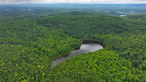 Stunning waterfront at the top of the mountain, come over to this crystal clear shared spring fed lake. 231 acres of rugged wooded land, road is roughed in and usable to take you to the mountain top and fulfill your dream herewith 1,000 feet of water...