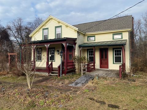 This simple Victorian farmhouse is located in the farming hamlet of Stuyvesant within a short walk to the Hudson riverfront. The almost half acre of land is filled with perennials, that when cultivated will provide seasons of color. The first floor h...
