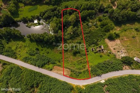 Property ID: ZMPT546589 Rustic land with 1874 m2 located in São Sebastião da Feira, Oliveira do Hospital. Land with excellent sun exposure and 2 watercourses, overlooking the river Alva.