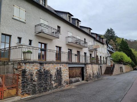 I suggest to you in the pretty village AUBAZINES this old hotel, restaurant. It consists on the ground floor: reception, hall, 2 toilets, 100 m restaurant room, reception, 2 offices, kitchen, vegetable garden, dishwasher, Main dining room 210 m², win...
