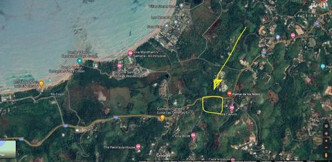 Terra, è una collina di 10.000 m2 situata all'uscita di Las Terrenas, La Ceiba, Palmar de los Nidos. Possibilità di costruire più edifici, o appartamento collettivo. Ingresso diretto a una strada privata, sulla Strada Nazionale 133, Boulevard Turísti...