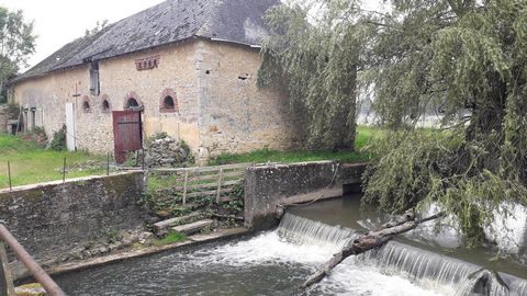 Au cœur de la campagne sarthoise, près du charmant petit village de Tennie, cette propriété offre un cadre paisible et authentique. Cette ancienne bâtisse et ses dépendances, autrefois moulin, propose de grandes surfaces à rénover selon ses envies. A...