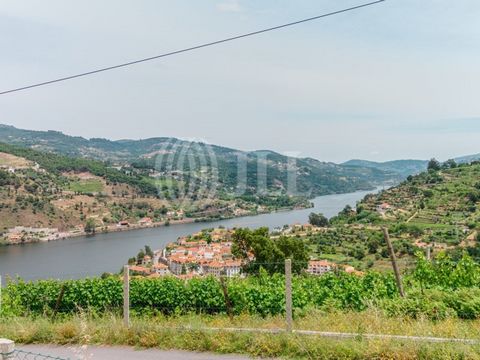 Land with approved PIP (Prior Information Project) for one or two houses, with a building footprint of 600 sqm, in a total area of 4972 sqm, with an unobstructed view of the Douro River and valley, in Caldas de Aregos, Resende, Viseu. The permitted c...