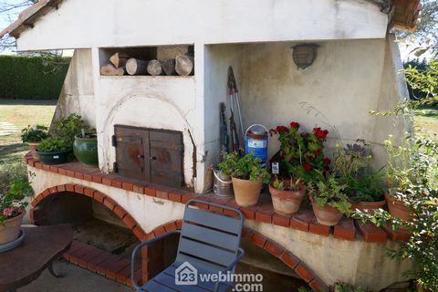 photo no. 6