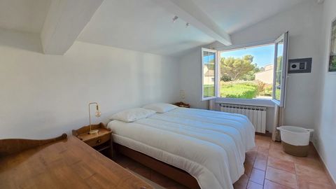 photo no. 13