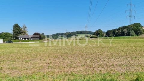 Zum Kauf steht ein Baugrundstück von ca. 6.100 m² (Teilung auf ca. 2x 3.000 m² möglich) das sich in der Widmung 