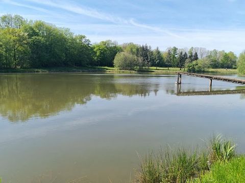 Gelegen in de stad Saulgond in een landelijke omgeving op een perceel van 30.500 m2 niet bebouwbaar, vijvers van de primaire categorie visteelt toegankelijk via een pad. - Vijveroppervlakte 12.746 m2 en 1.106 m2. DDT-rapport uitgevoerd in december 20...