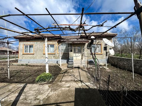 IBG Real Estates est heureux de proposer cette maison à un étage, dans un joli village près de Durankulak et de la ville de Dobrich. Il y a plusieurs magasins, bars, restaurants, dentistes, bibliothèque, Internet rapide et fiable, une école prospère,...