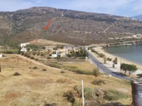 For sale, a 60,000 sq.m. agricultural plot outside the city plan, located in the Kypri area of Andros. The property features an amphitheater slope and is only a 5-minute drive from the port of Andros, offering stunning views. It is adjacent to the pr...