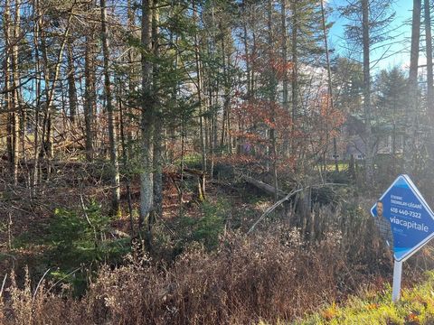 RARE terrain à vendre en plein coeur de Saint-Gabriel-De-Valcartier de 25 000 pieds carrés. Opportunité à saisir pour quelqu'un qui voudrait ce construire dans le secteur. Contactez-moi pour plus d'informations. INCLUSIONS -- EXCLUSIONS --