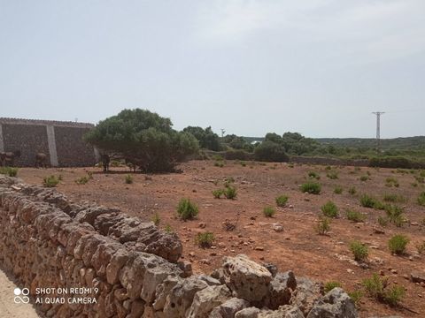 MINORCA È UN PARADISO VICINO. Terreno edificabile in vendita ad Alaior, con una superficie di circa 24.000 mq e una costruzione esistente di circa 200 mq adibita a stalla per bovini. Tale terreno rientra nella lottizzazione in corso di elaborazione d...