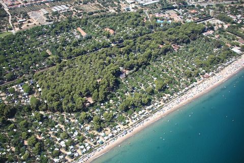 Welcome to this exceptional campsite, set along a breathtaking coastline known for its shallow turquoise waters and pristine sandy beaches. Relax under the swaying palm trees and indulge in delicious tapas, refreshing sangria, and traditional paella ...