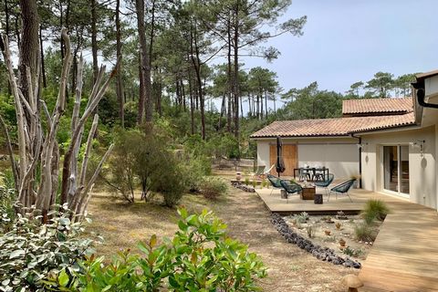 Gelegen in het dennenbos, aan de voet van het duin, biedt dit 4-sterren huis je een oase van rust met de geur van dennenbomen die je meevoeren om je fantasie de vrije loop te laten... Tussen het meer en de oceaan, dicht bij de fietspaden, heb je de k...