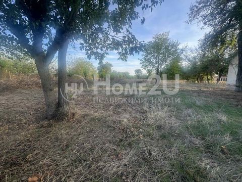 We present to your attention a regulated plot in the center of the village of Tseretelevo, Plovdiv region. The property has an area of 9250 sq.m and is suitable for both residential and industrial construction. Call now and quote the following code: ...