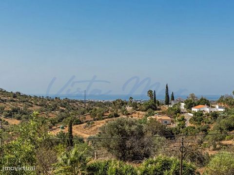 Plot of 1400 m2 with an architect's project approved by the City Council for the construction of a contemporary 4 bedroom villa with a total area of 217 m2, of which 177 m2 on the ground floor and 40 m2 in the basement. The project includes a swimmin...