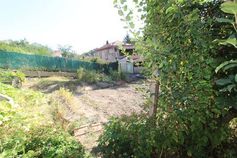 photo no. 1