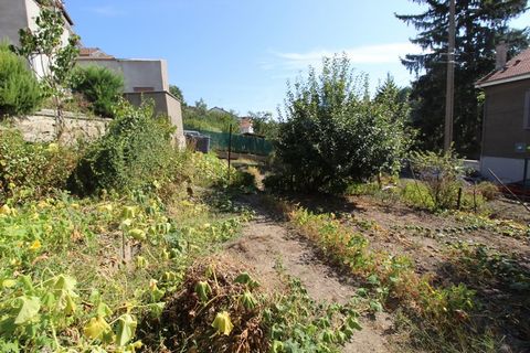 photo no. 2