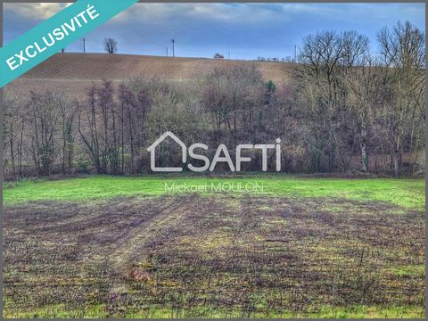 Dans la commune de Layrac sur Tarn, un charmant village située entre Villemur sur Tarn et Bessières, à 35min de Toulouse, 20 min de l'A68, ce terrain offre un cadre idéal pour votre projet immobilier. Cette parcelle de 5850m², vous autorisera 2500m² ...