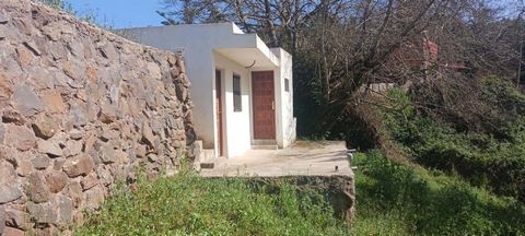 This rustic plot, located in the town of Tacoronte in Tenerife, is a true natural paradise that offers a perfect combination of scenic beauty and functionality. This land is divided into three clearly differentiated areas, each with its own distincti...