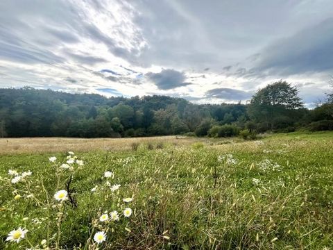 Profitez de l’opportunité unique aujourd’hui et sécurisez ce terrain à bâtir attrayant dans un emplacement idyllique près de Leibnitz. La propriété ensoleillée impressionne par sa situation au sud-ouest et bénéficie d’une légère pente, qui vous offre...