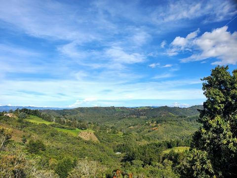 Cet impressionnant terrain de 1 162 m² vous offre la possibilité de vous réveiller chaque jour entouré de nature et d’air frais, à seulement 35 minutes de Medellín et sans péage. Situé dans le village de Barro Blanco, à seulement 5 minutes de l’églis...