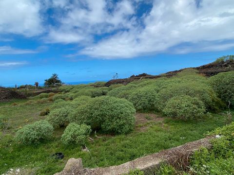 At PROPERTY TENERIFE we are pleased to offer you for sale this wonderful unconsolidated urban land located in Puerto de la Cruz. It has a graphic area of 1,180 m². It has an excellent location, close to the motorway junction, a shopping centre, schoo...