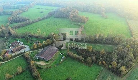 Discover this Louhannaise property open to numerous projects set on over 35 hectares. Located between Louhans and Lons le Saunier, just 10 minutes from the A39 Motorway, and 1 hour and 50 minutes from Geneva. If you are looking for a place without nu...