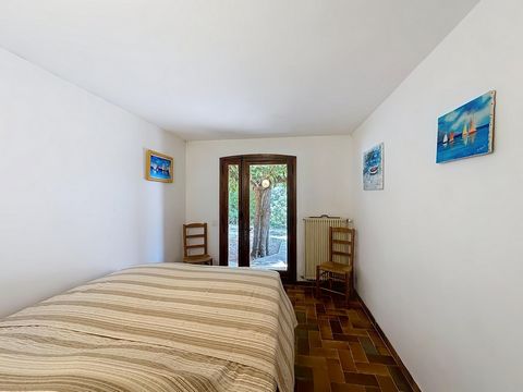 photo no. 12
