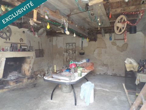 photo no. 6