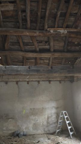 photo no. 3
