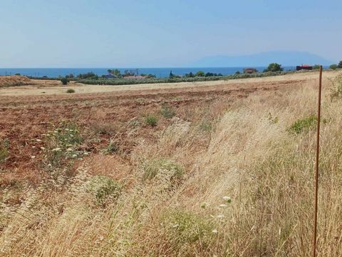 Property Code. 11790 - Agricultural FOR SALE in Alexandroupoli Nea Chili for € 250.000 . Discover the features of this 7700 sq. m. Agricultural: Distance from sea 600 meters, facade length: 66 meters, depth: 110 meters The office of Thassos Realestat...