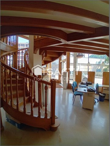 photo no. 12