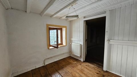 photo no. 5