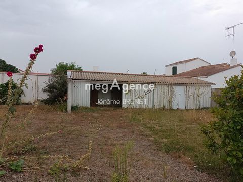 photo no. 9