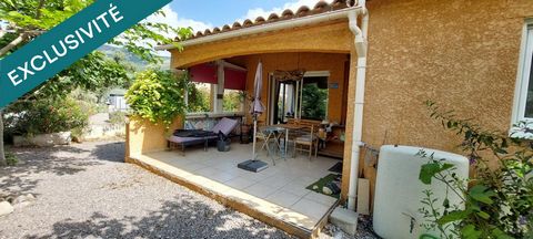 photo no. 13