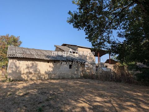 photo no. 8