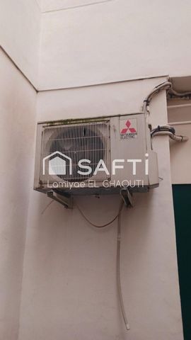 photo no. 6