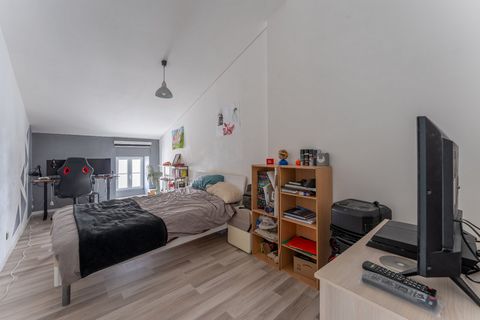 photo no. 11