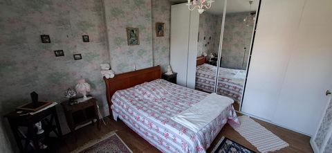 photo no. 6