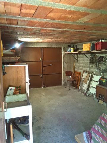 photo no. 6