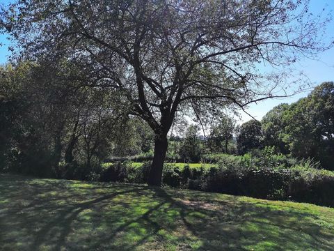 photo no. 19