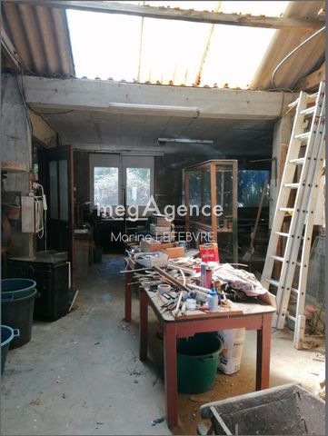 photo no. 16