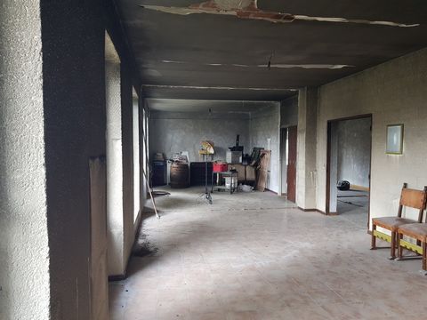 photo no. 14