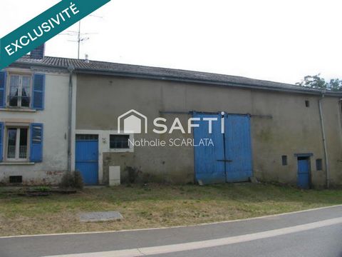 photo no. 1