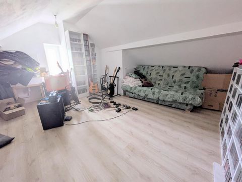photo no. 16
