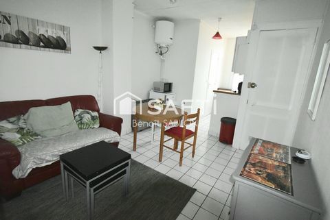 Appartement meublé 31m², 2 pièces, cour et cave