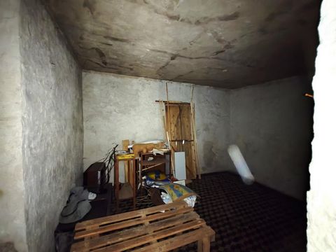 photo no. 9